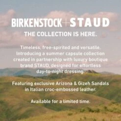 Birkenstock Gizeh Big Buckle Natural Leather Patent Black -Birkenstock Shop 1023779 f look f